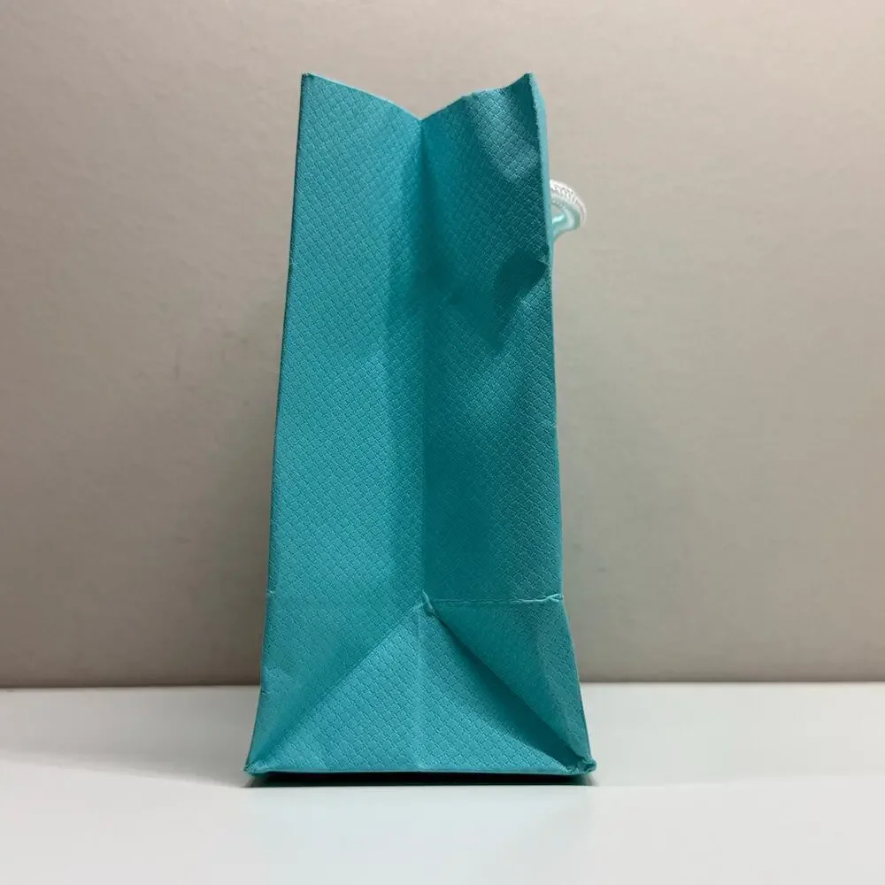 Tiffany & Co. | Gift Bag w/ Card | Mint Green | 6 x 5 x 3 in.